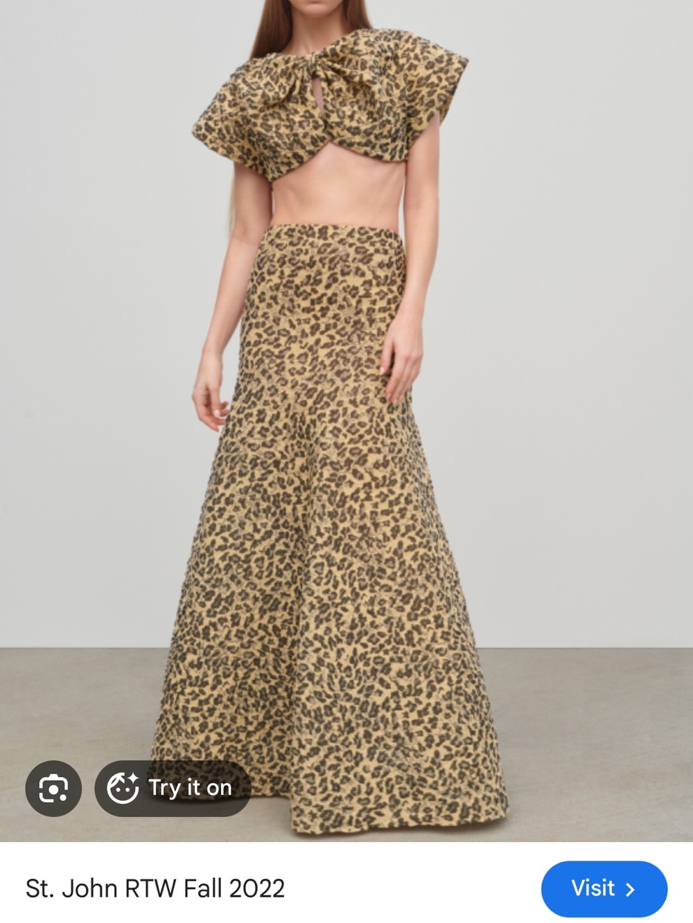 St. John Leopard-Print Maxi Skirt in Beige and Black USA small
